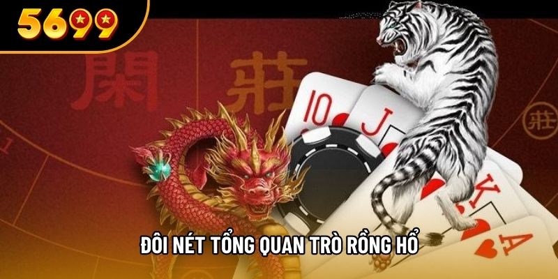 Đôi nét tổng quan trò Rồng hổ