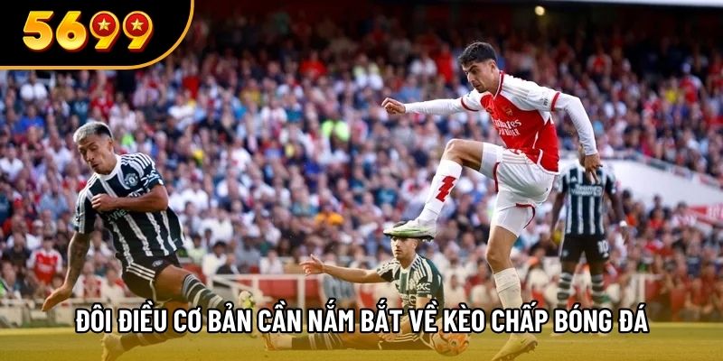 Đôi điều cơ bản cần nắm bắt về kèo chấp bóng đá